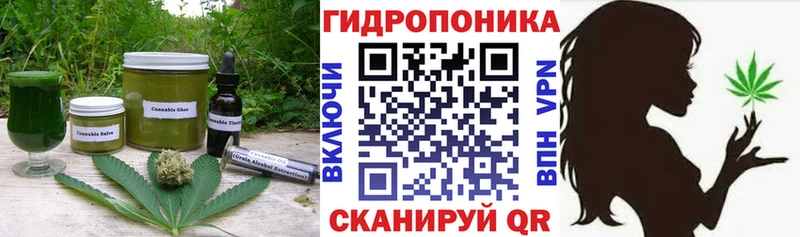 где купить наркотик  KRAKEN ссылка  Cannafood марихуана  Кинель 