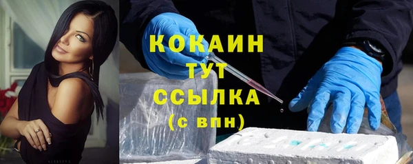ПСИЛОЦИБИНОВЫЕ ГРИБЫ Новозыбков