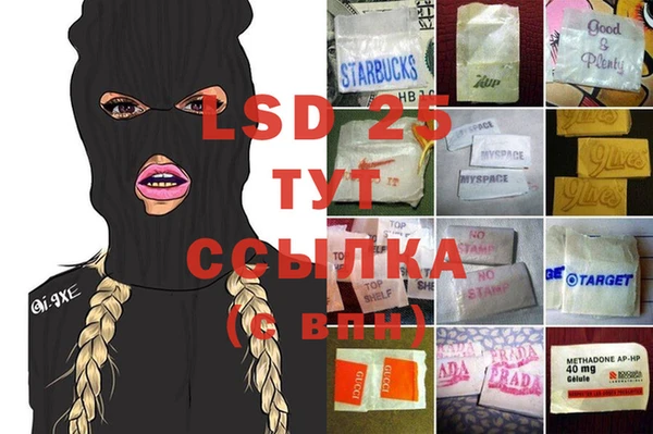 ПСИЛОЦИБИНОВЫЕ ГРИБЫ Новозыбков