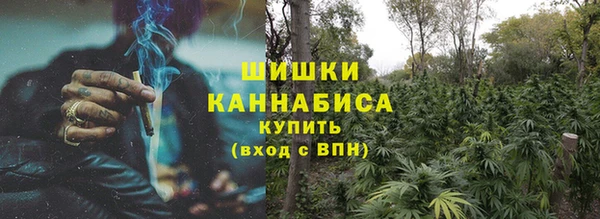 ПСИЛОЦИБИНОВЫЕ ГРИБЫ Новозыбков