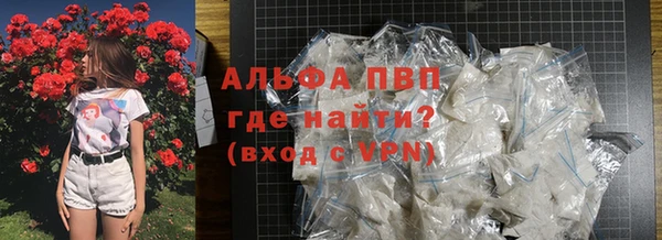 ПСИЛОЦИБИНОВЫЕ ГРИБЫ Новозыбков