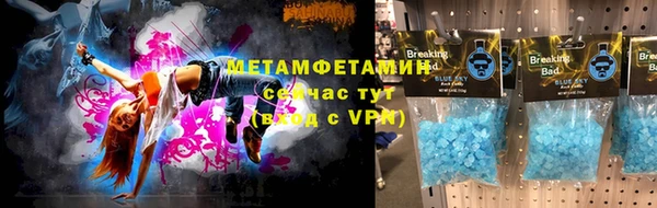 ПСИЛОЦИБИНОВЫЕ ГРИБЫ Новозыбков