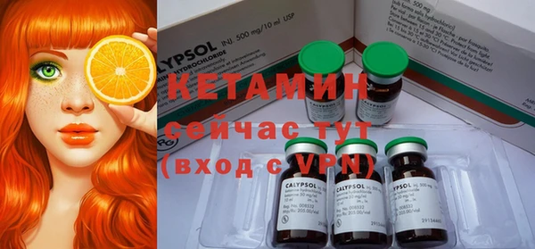 ПСИЛОЦИБИНОВЫЕ ГРИБЫ Новозыбков
