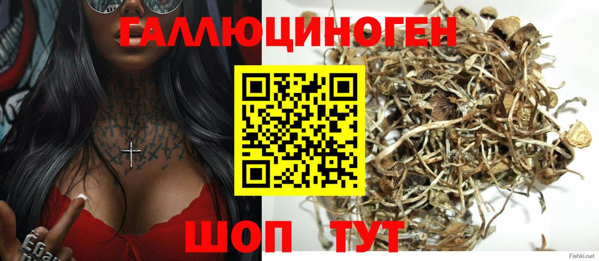 Галлюциногенные грибы MAGIC MUSHROOMS  Галлюциногенные грибы мухоморы  Кинель  Вход с VPN 