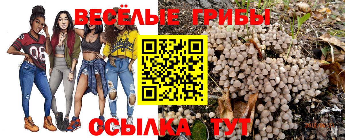 Галлюциногенные грибы Cubensis Кинель
